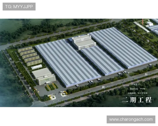 探索AG寰亚娱乐在全球市场的布局与未来发展潜力