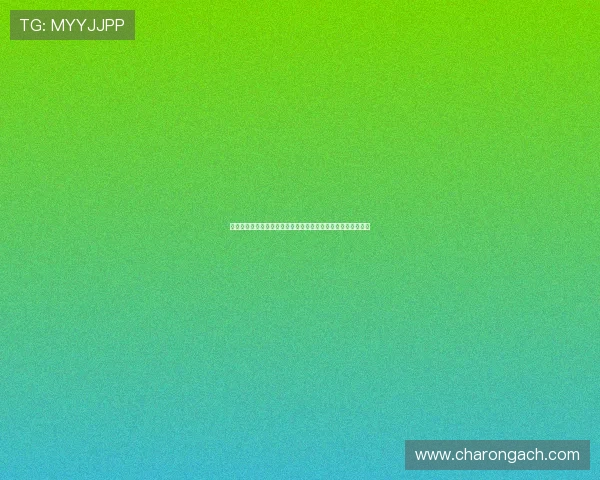 三亿体育线上开户用户体验分享帮助新手快速适应平台操作流程